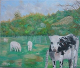 Du côté de Tortisambert - HUILE
